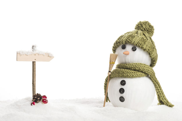 snowman'
